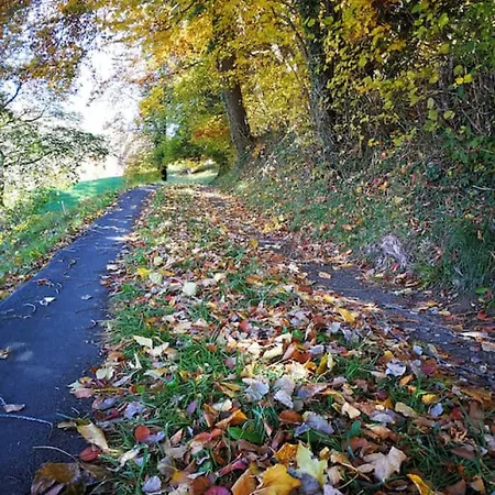 度假居 Modern With Alps Scenic Views And Concierge By Swisshut *