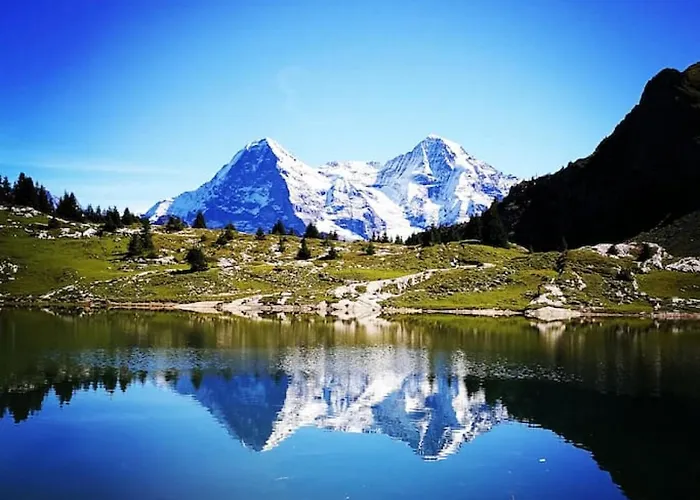 Holiday home Modern With Alps Scenic Views And Concierge By Swisshut