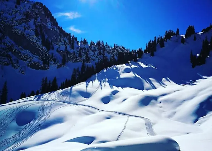 Modern With Alps Scenic Views And Concierge By Swisshut *