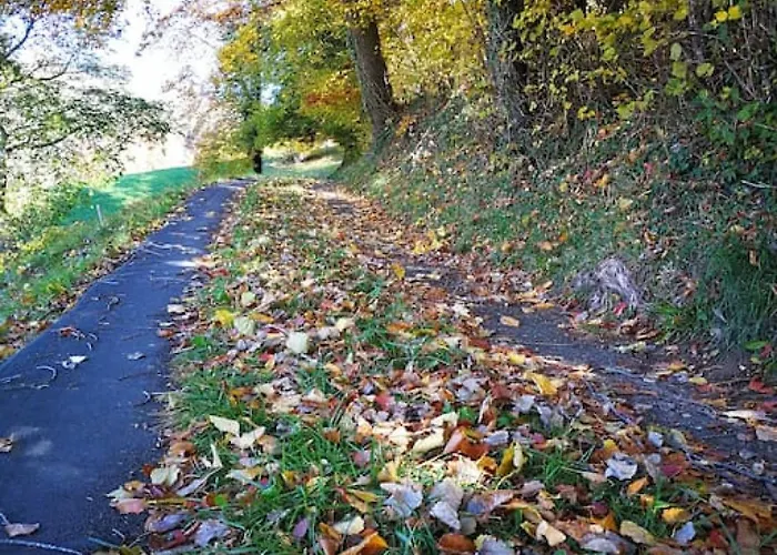 Ferienhaus Modern With Alps Scenic Views And Concierge By Swisshut *